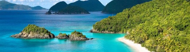 image-kinh-nghiem-du-lich-dong-xanh-dong-nghe-da-nang-chi-tiet-nhat-165158602327739