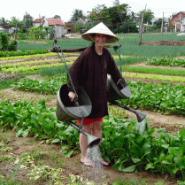 VEGETABLE-GARDENS-BY-BICYCLE